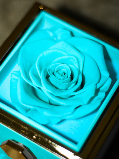 Light Blue Eternal Rose Gift