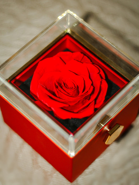 Red Eternal Rose Gift