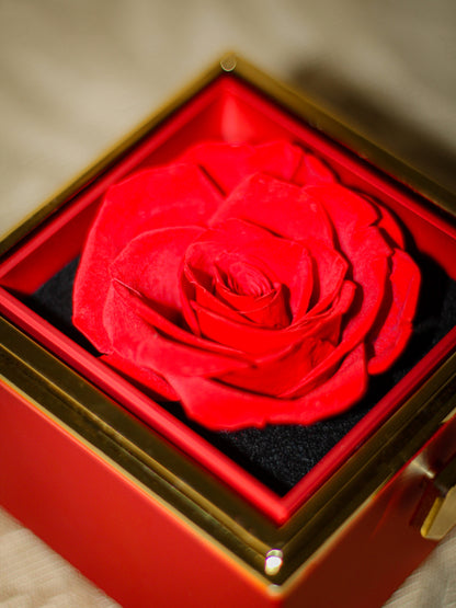 Red Eternal Rose Gift